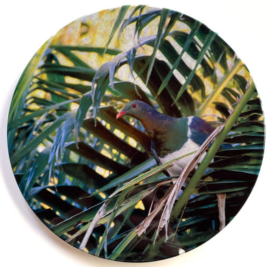 Ceramic Coaster Single - Kererū in Palm