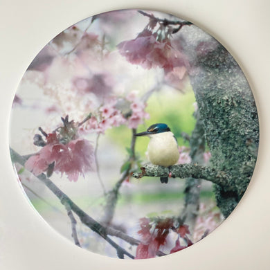 Ceramic Coaster Single - Cherry Blossom King (Circular)