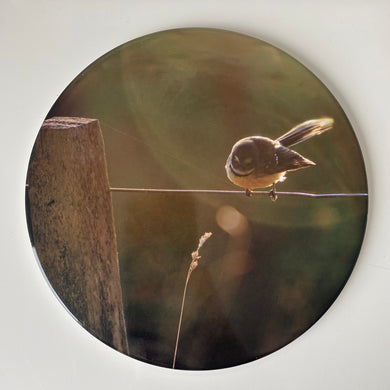 Ceramic Coaster Single - Bird On A Wire (Circular)