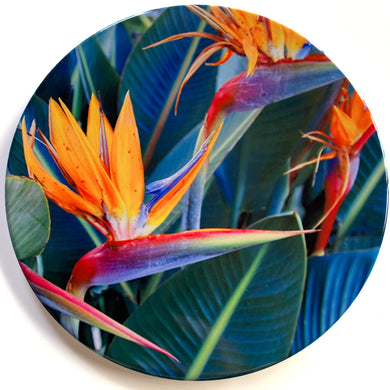 Ceramic Coaster Single - Birds of Paradise Flowers