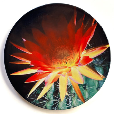 Ceramic Coaster Single - Cactus Bloom